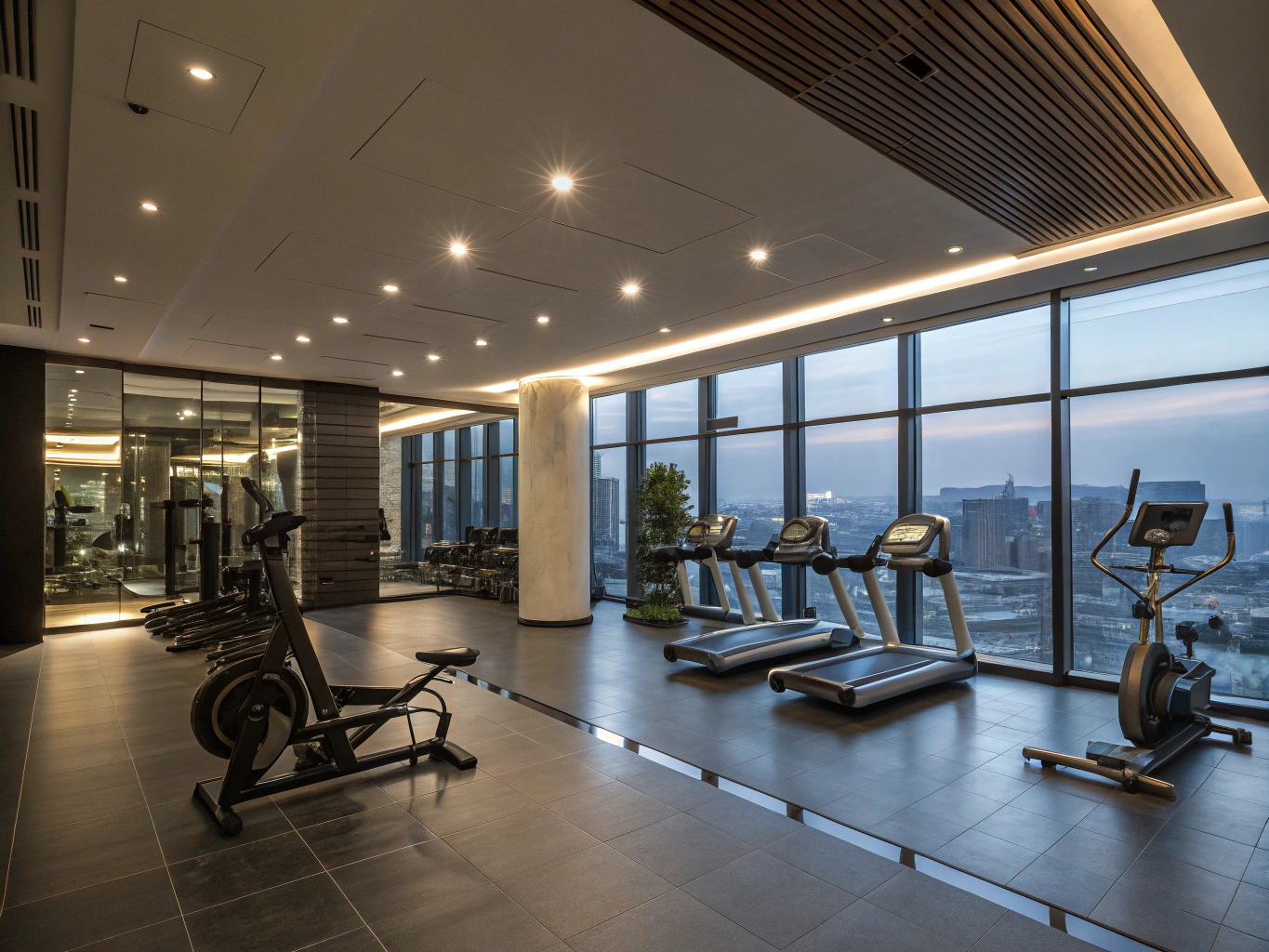 Modern high-end gym facility