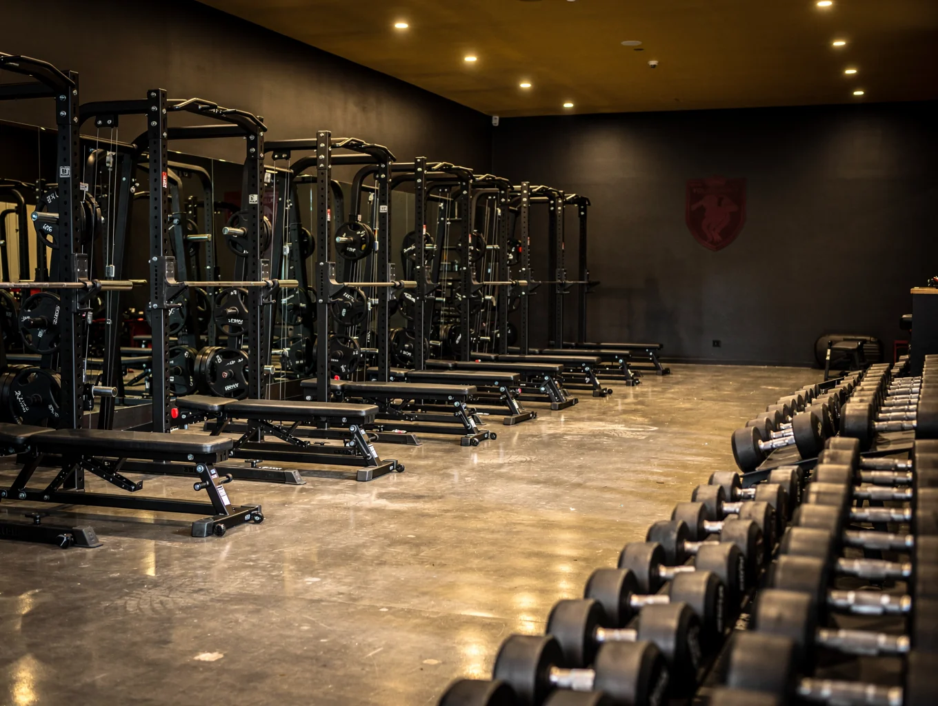 High-end gym equipment under dramatic spotlight